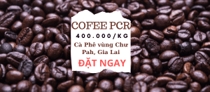 Cà phê PCR Gia Lai